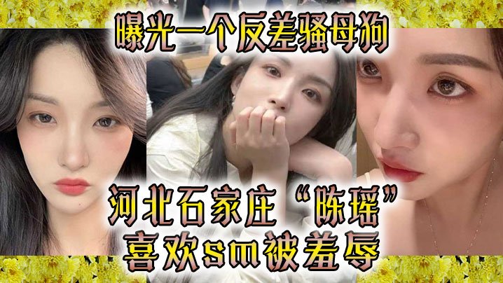 反差骚母狗！石家庄人妻玩SM被羞辱内射爆操